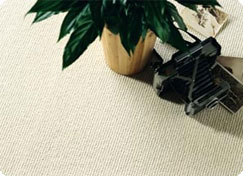 Ulster Carpets Supplier London
